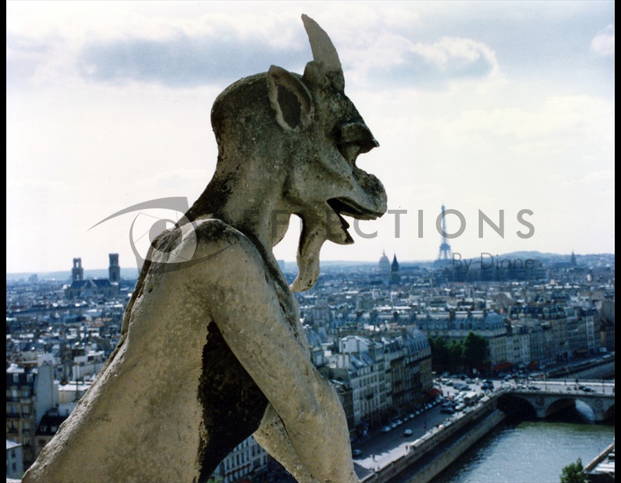 Notre Dame Gargoyle overlooking Paris